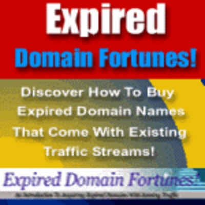 Product picture Expired Domain Fortunes - how to acquire existing traffic